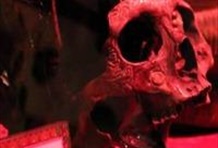 Ripley’s Believe It or Not! Museum